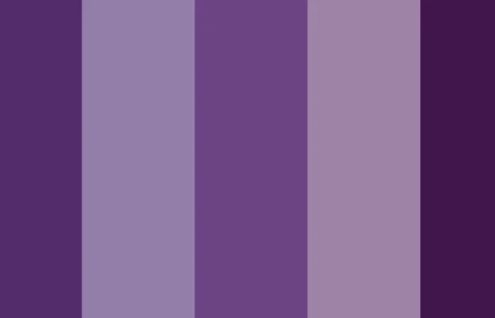 Shades of purple color